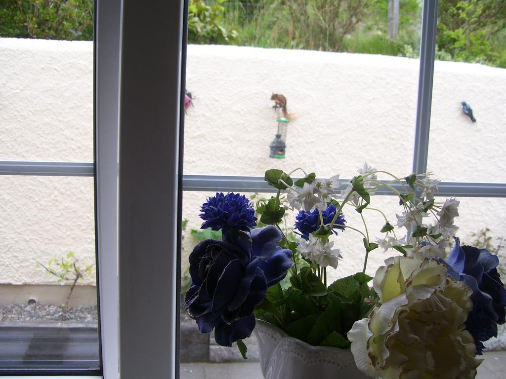 Lurig View B&B Glenariffe Dış mekan fotoğraf