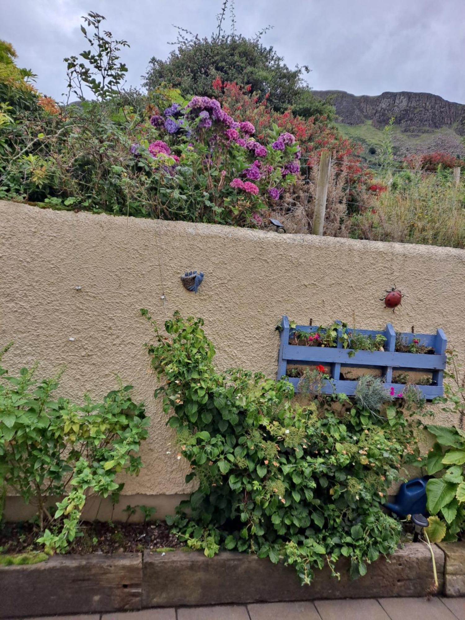 Lurig View B&B Glenariffe Dış mekan fotoğraf