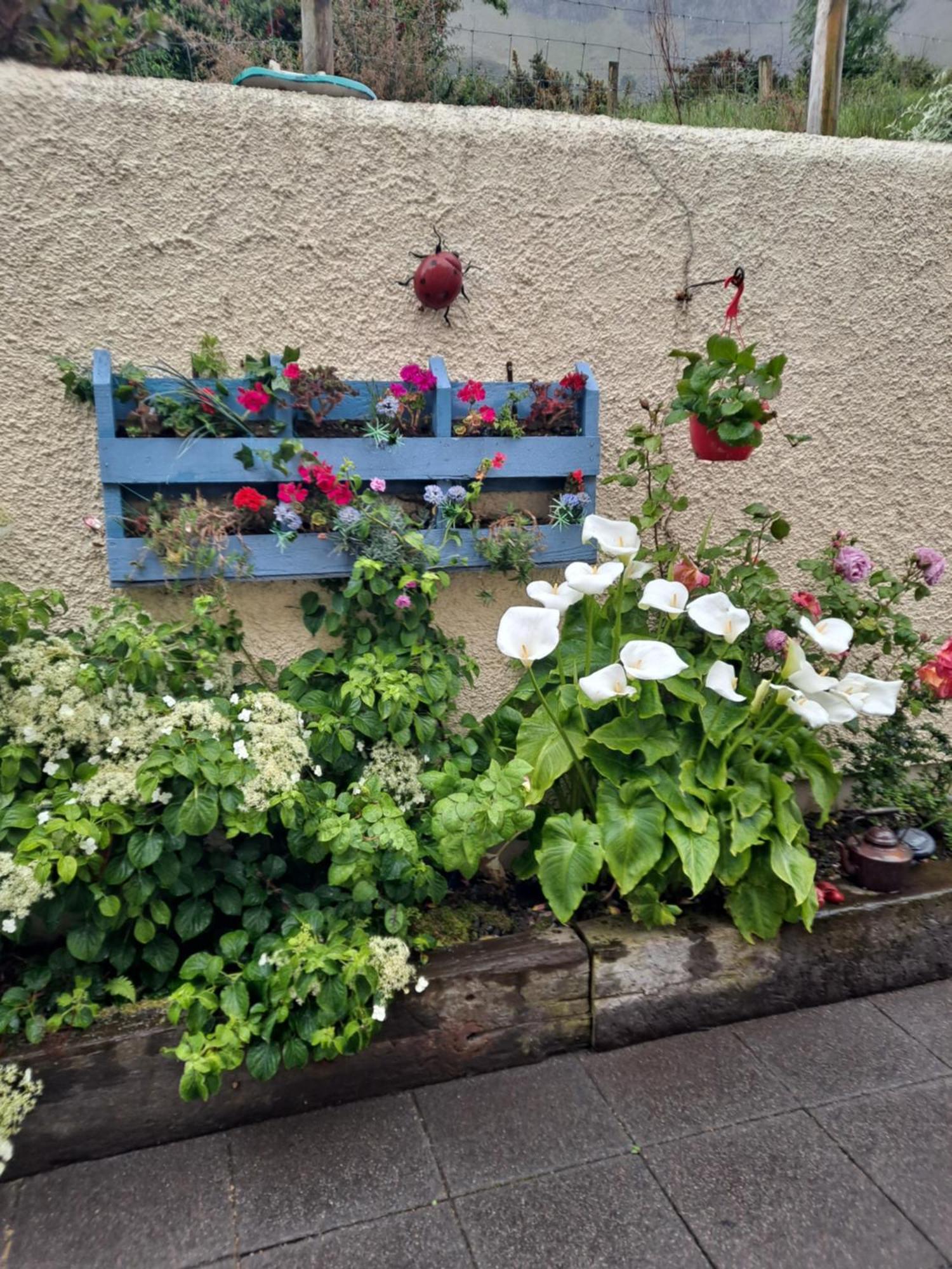 Lurig View B&B Glenariffe Dış mekan fotoğraf