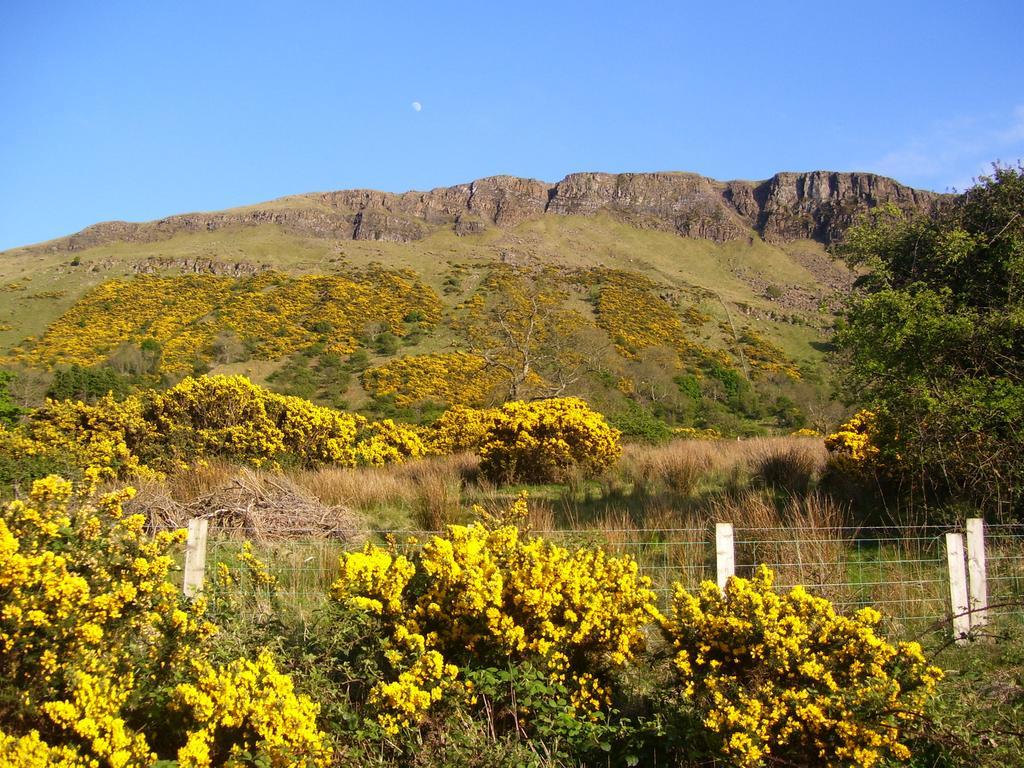 Lurig View B&B Glenariffe Dış mekan fotoğraf